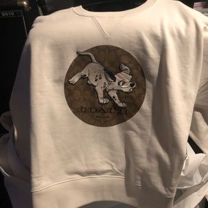 Disney x coach 101 Dalmatians pull over